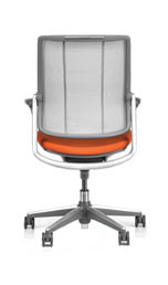 smart_orange_back